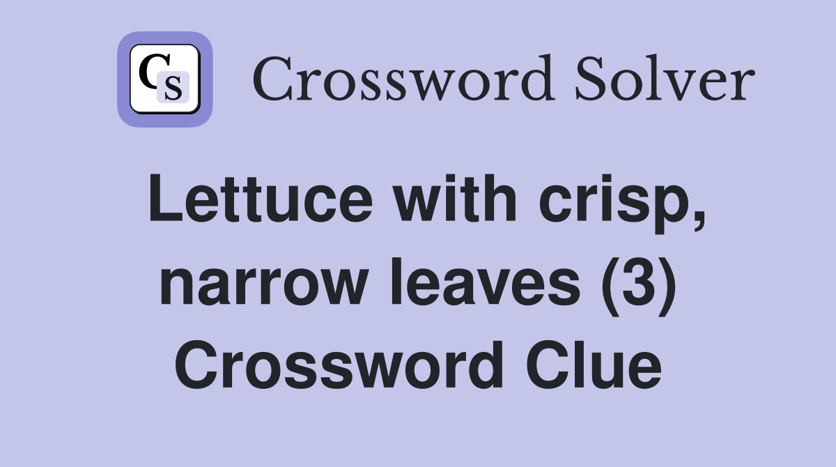 Lettuce with crisp, narrow leaves (3) Crossword Clue Answers